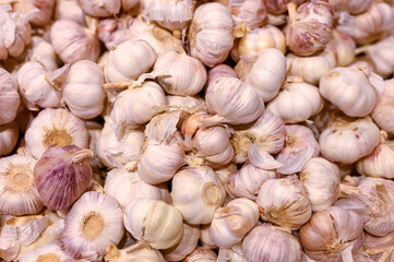 a pile of vegetables white garlic as background