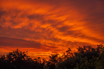 Fototapeta premium red sunset sky