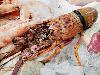 Close up on ice crayfish, seafood