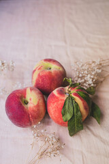 Natural peach on fabric background