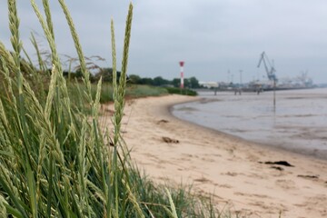 Fototapeta premium sand dunes on the beach (Nordenham)