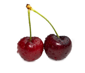 Pair of delicious red cherries with water droplets isolated on white.