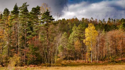 autumn in the mountains © Marcin