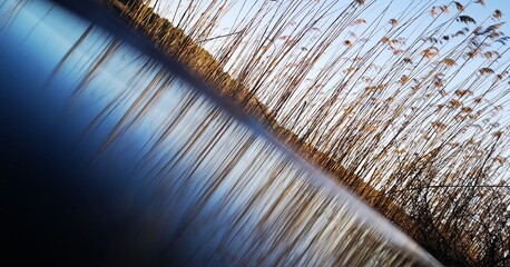 metal grid background © Marcin