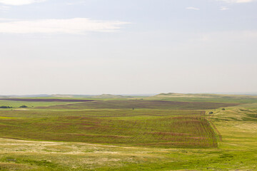 twilight in the steppe open look at the day light