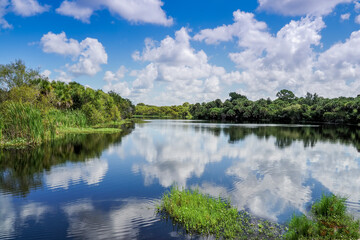 Fototapeta na wymiar Deer Prairie Creek in Deer Prairie Creek Preserve in Venice Florida