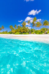 Tropisch eilandparadijs. Zomer strand landschap, panoramisch uitzicht op zee met palmbomen wit zand. Luxe zomervakantie reizen en vakantie. Levendige kleuren, ontspannen strandconcept. Natuur tropisch landschap