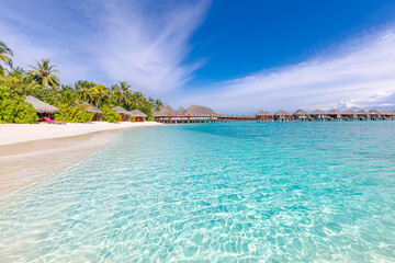 Perfect white sand beach and turquoise tropical ocean in Maldives. Luxury summer holiday and...