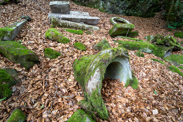 Schwarzwald Gallussäge in Oberharmersbach