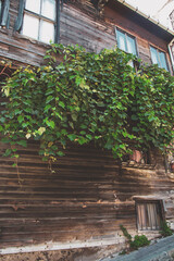 Fototapeta na wymiar old wooden house in the street