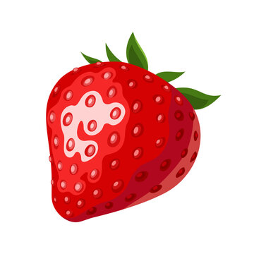 Vector illustration of a ripe red strawberry isolated on a white background.