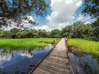 Fototapeta na wymiar Braodwalk across wetlands in The William S Boylston Nature Trail in Myakka River State Park in Sarasota Florida in the United States
