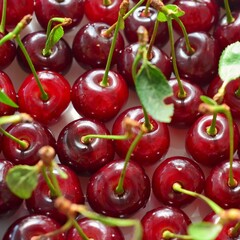 Background of ripe cherry berries