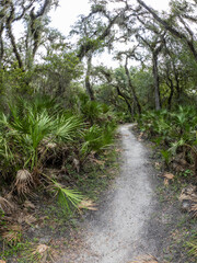Trail in The William S Boylston Nature Trail area in Myakka River State Park in Sarasota Florida in the United States