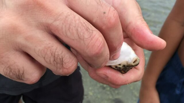 Uomo cerca di salvare un piccolo pesce dandogli dei colpetti con il dito sulla pancia
