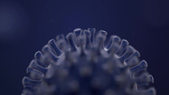 3D rendering of Microstructure of coronavirus
