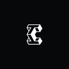 Professional Innovative 3D Initial I logo and II logo. Letter I II Minimal elegant Monogram. Premium Business Artistic Alphabet symbol and sign