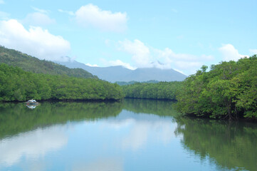 Fototapeta na wymiar Bacungan mangrove clear water river nature scenery with passenger boat