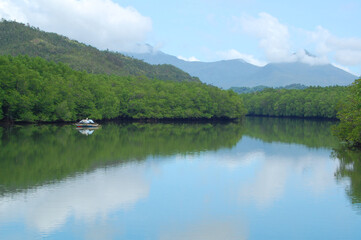 Fototapeta na wymiar Bacungan mangrove clear water river nature scenery with passenger boat