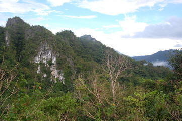 Limestone rock formation with trees in Puerto Princesa, Palawan, Philippines