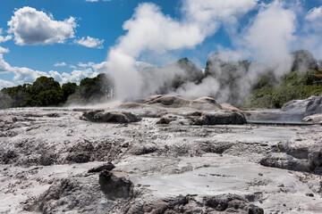 Geyser in Rotorua, New Zealand