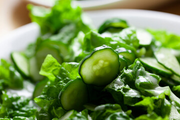 グリーンサラダ