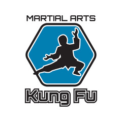 kung fu martial art isolated on white background. vector illustration