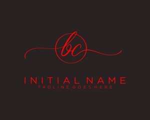 Initial B C handwriting logo vector. Hand lettering for designs