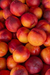 Fototapeta na wymiar Necktarines. Nacked peaches. Fresh vegetarian food, fruits.