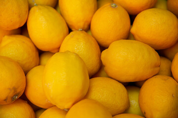 Ripe Juicy Lemon Fruit. Yellow citrus fruit lemon