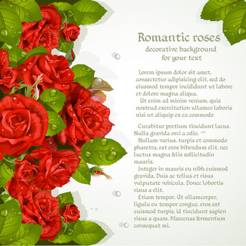 Decorative background with red roses for your text