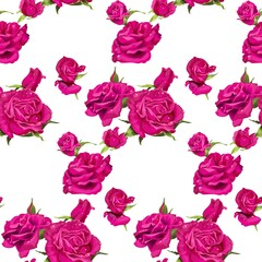 Seamless pattern of pink roses on a white background