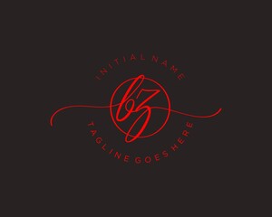 Initial B Z handwriting logo vector. Hand lettering for designs