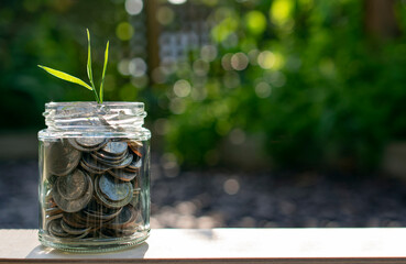 Plant a seed and watch it grow - seedling growing out of a jar full of coins, representing growing...