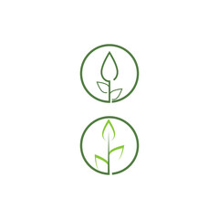 Leaf Logo Template vector symbol
