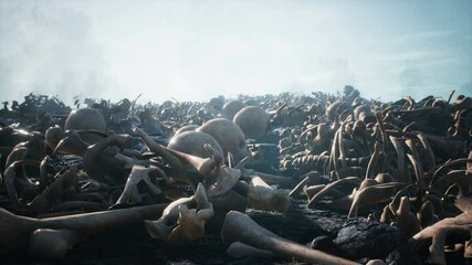 Old human skulls and bones left over from the battle. The concept of war and the Apocalypse.