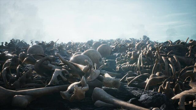 Old human skulls and bones left over from the battle. The concept of war and the Apocalypse.