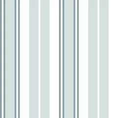 Store enrouleur Rayures verticales Fond transparent à rayures blanches dans un style vertical - Fond transparent à rayures verticales blanc adapté aux textiles de mode, graphiques