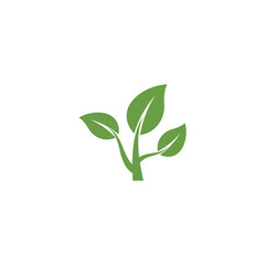 Leaf Logo Template vector symbol