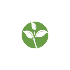 Leaf Logo Template vector symbol