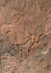 Obraz premium AFRICAN PREHISTORIC ROCK ART IN TASSILI NATIONAL PARK IN ALGERIA