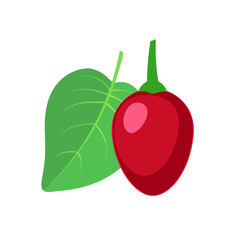 Tamarillo fruit icon flat design vector illustration