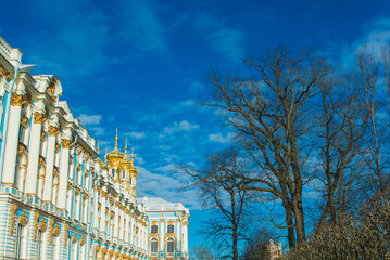 St. Petersburg, Tsarskoye Selo, City Pushkin: Catherine Palace Museum.