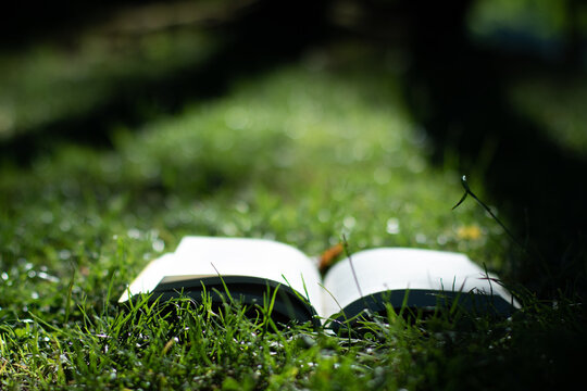 das Buch steht eindeutig auf dem Rasen auf dem Boden