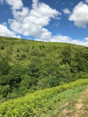 landscape in the mountains