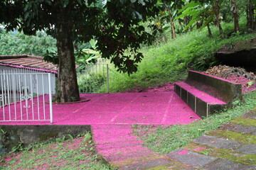 
early spring at the site