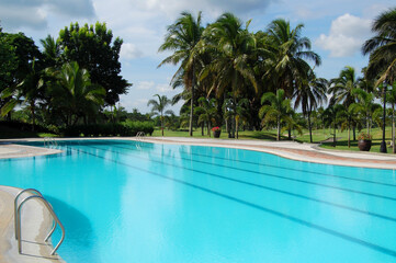 Outdoor swimming pool with surrounding tall trees 