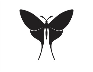 Butterfly silhouette vector on a white background