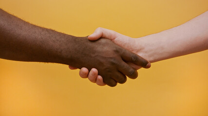Close up of a handshake. Black and white hand, interracial friendship and cooperation concept.