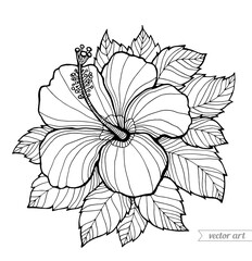 Hibiscus, flower and leaves. Vector. Coloring book page for adult. Hand drawn artwork. Black and white